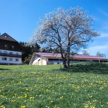 Ursprung Apartment
