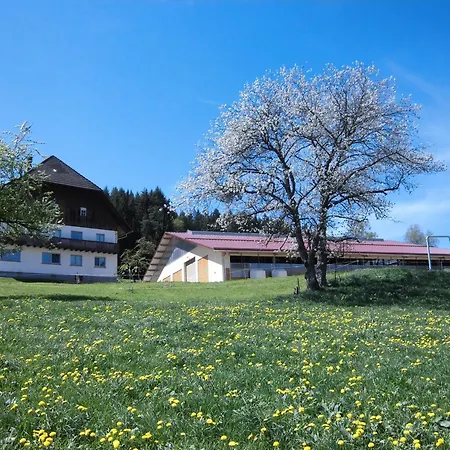 Ursprung